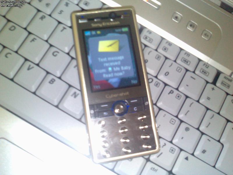 Sony Ericsson W880i in a gold coat