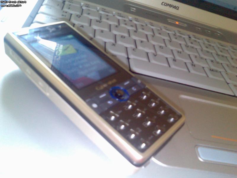 Sony Ericsson W880i in a gold coat