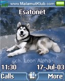 Alpha Malamute t610 theme