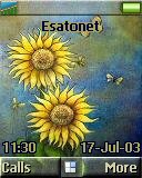 Girasoles t637 theme