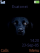 Dog and Black W580 theme