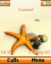 Orange skin Z550  theme