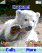 Animated K750  theme