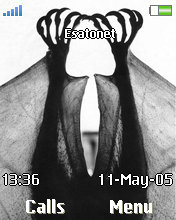 Bats Z550  theme