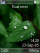 Raindrops W580 theme