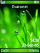 Water droplets K800 / K800i theme