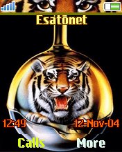 Tiger W800  theme