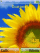 Sunflower W580 theme
