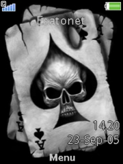 Ace PreFeR W890  theme