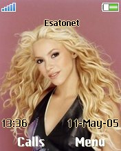 Shakira W550  theme