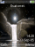 Moon Night animated K800 / K800i theme