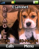 Beagle Z530 theme