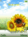 Summer W580 theme