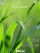 Vista 100% W910  theme