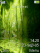 CalmRipple K800 / K800i theme