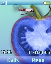 BlueTomato Z550  theme