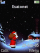 Santa animated K810 theme