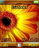 Margarita t637 theme