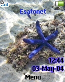 Starfish R300  theme