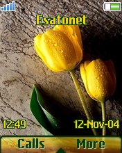 Tulpellow K750  theme