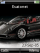 Pagani Zonda K800 / K800i theme