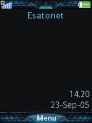 Flash Status W890  theme