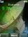 Antenna Sat animated W890  theme