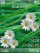 White flowers W580 theme