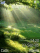 Sunshine K800 / K800i theme