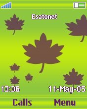 Fresh Maple Theme Z550  theme