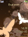 Brown butterfly K810 theme