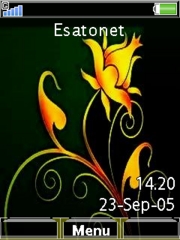 Floral Z750  theme