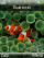 Iphone W830 theme