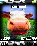 Cow Theme t610 theme