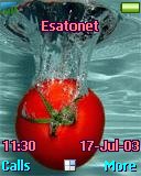 Wet Tomato t637 theme