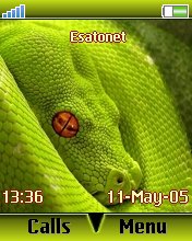 Snake Z550  theme