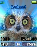 Owl t637 theme