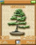Bonsai t637 theme