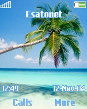 Palm W800  theme