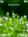 Drip-catcher W580 theme