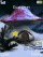 Asus animated K800 / K800i theme
