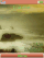 Definition stormy W890  theme