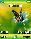 Butterfly t637 theme