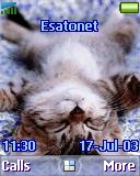 Sleeping kitty t637 theme