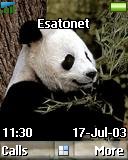 Panda t637 theme