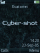 Cyber W580 theme