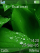 Green leaves animated K800 / K800i theme