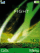 X files green S500 theme