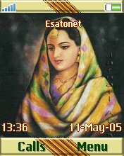 Punjabi W810  theme