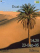 Desert W830 theme